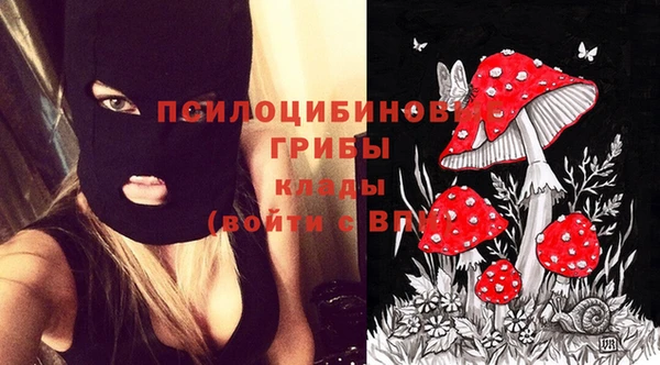 стафф Коряжма