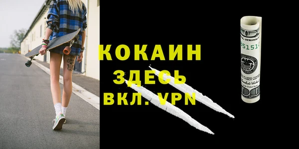 стафф Коряжма