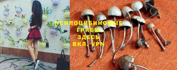 стафф Коряжма