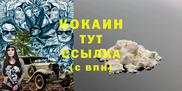 стафф Коряжма
