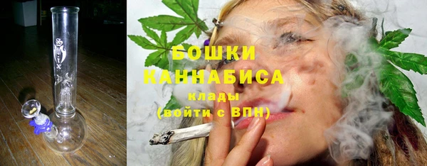 стафф Коряжма