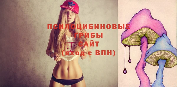 мдпв Костерёво