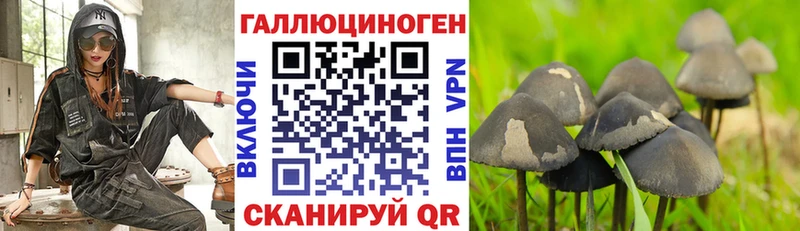 Псилоцибиновые грибы Magic Shrooms  Купить закладки  Арсеньев 