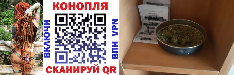 Купить где  Арсеньев  Канабис индика 